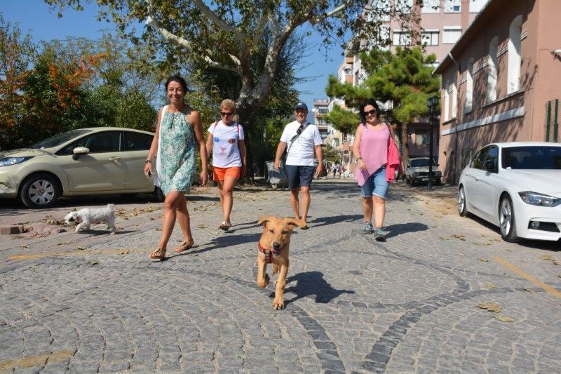 HAYTAP 9. Ulusal Temsilciler Toplantısı Erdek’te Yapıldı -2016