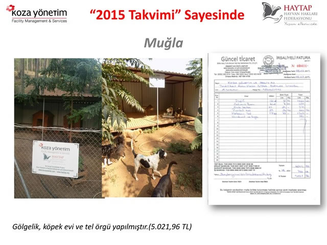 Haytap 2015 Takvimleri Sayesinde Yapılanlar