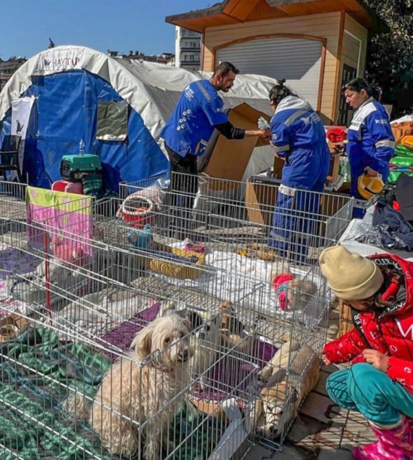 Haytap Hatay Sahra Hastanesi Çadırı