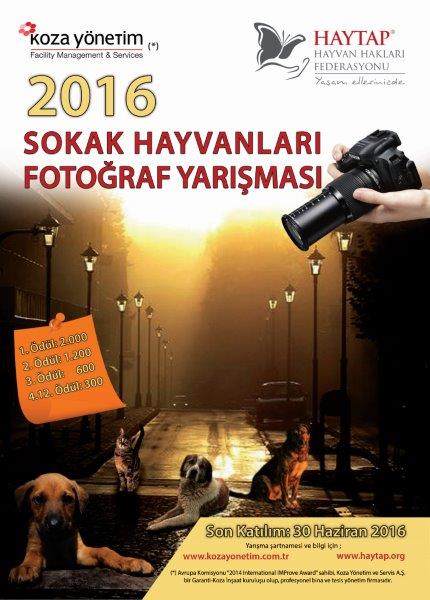 Haytap 2016 Sokak Hayvanları Fotoğraf Yarışması