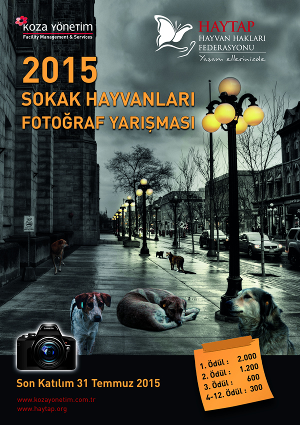 Haytap 2015 Sokak Hayvanları Fotoğraf Yarışması