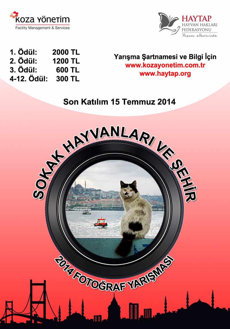 Haytap 2014 Sokak Hayvanları Fotoğraf Yarışması