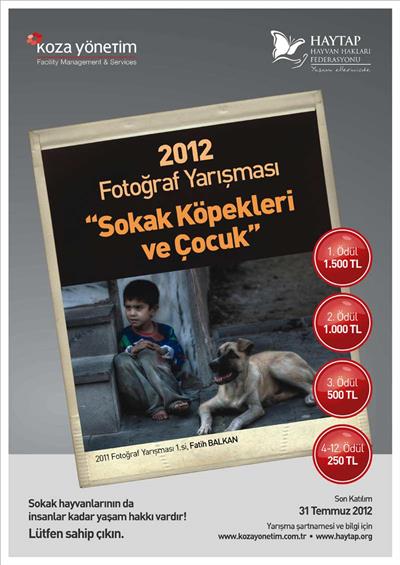 Haytap 2012 Sokak Hayvanları Fotoğraf Yarışması