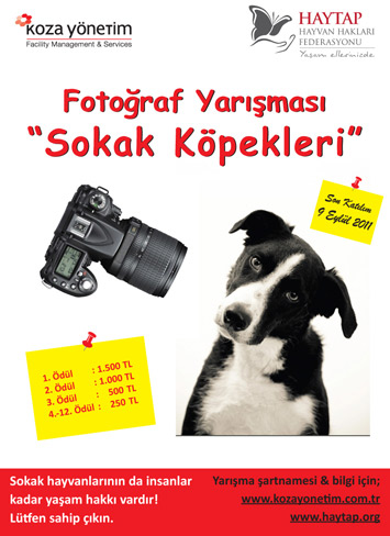 Haytap 2011 Sokak Hayvanları Fotoğraf Yarışması