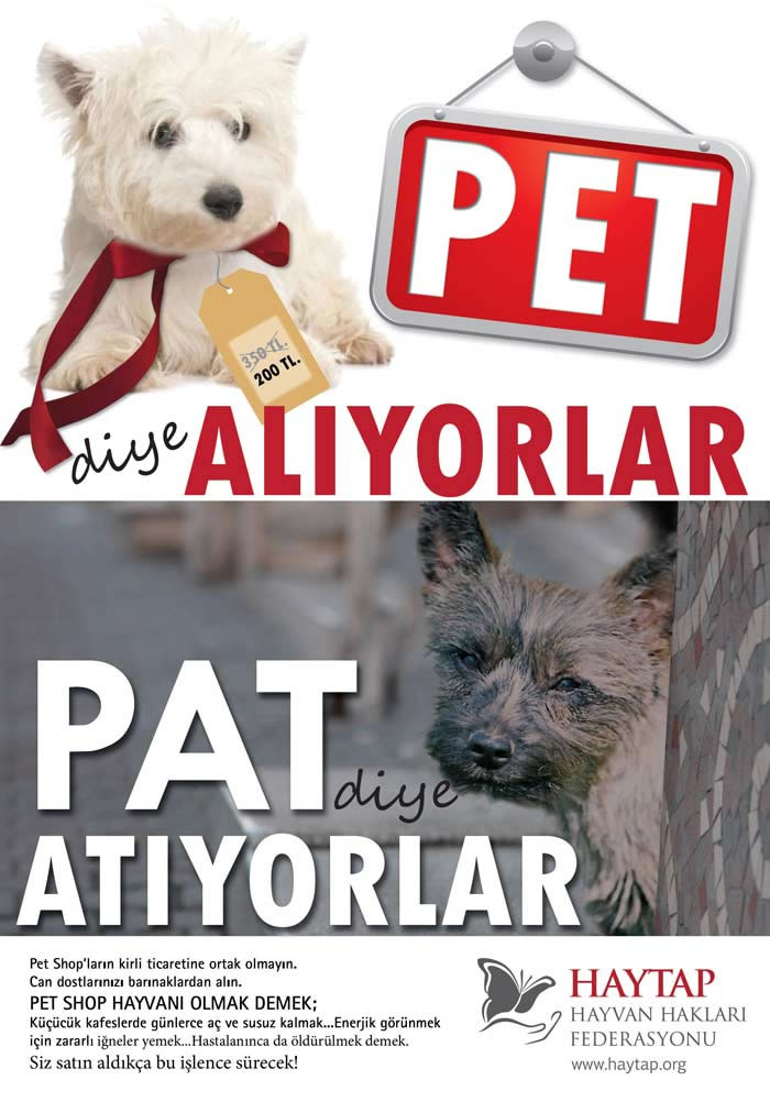 İşte Petshop Gerçeği  Tüm Çıplaklığı ile