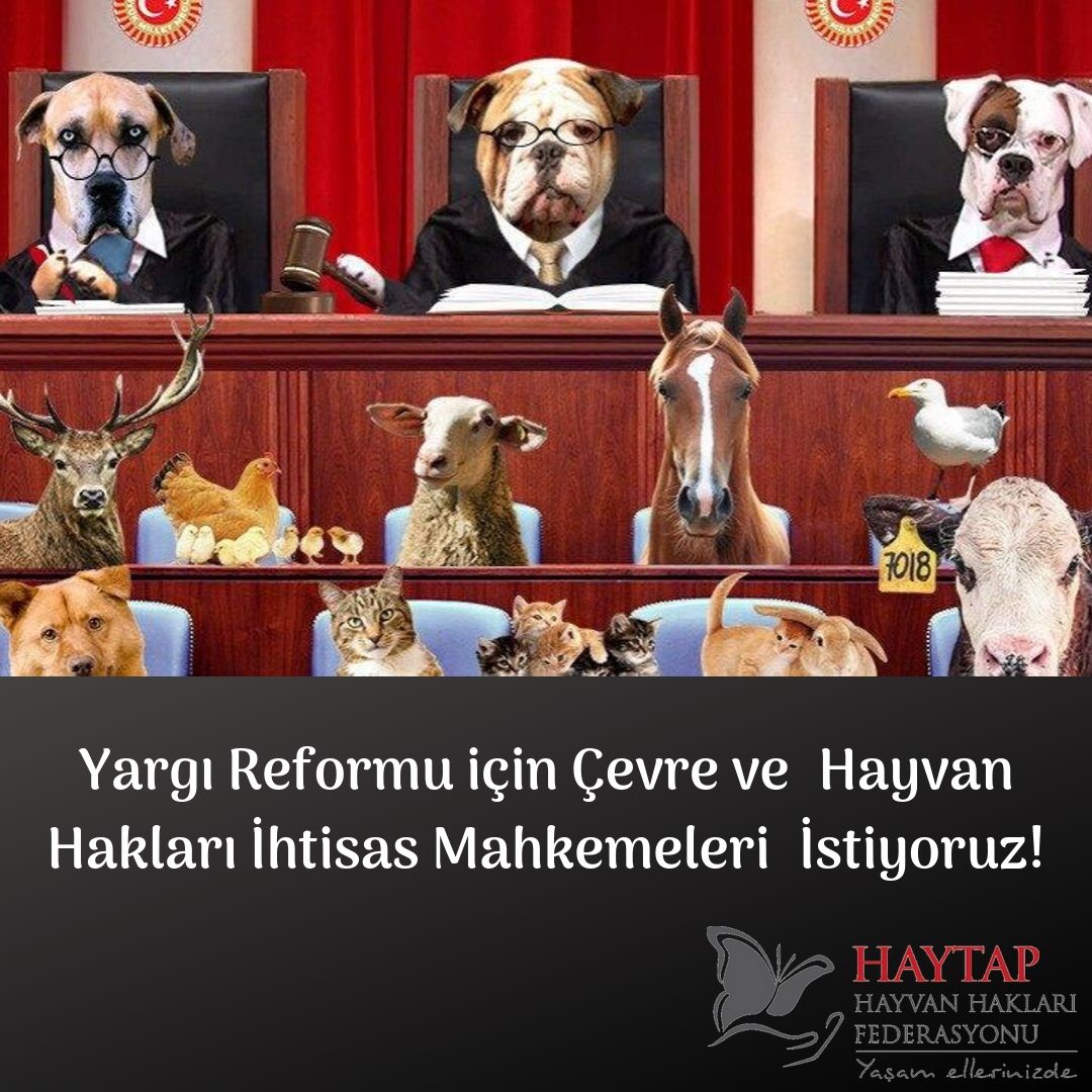 Çevre İhtisas Mahkemeleri Neden Kurulmalı? - Haziran 2021