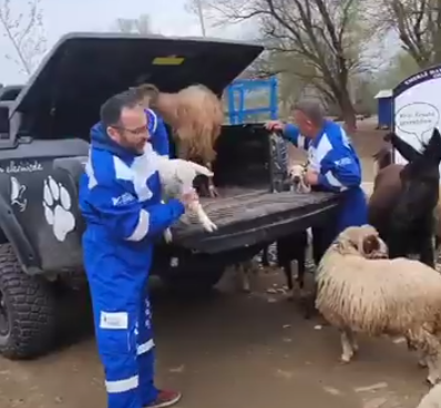 Haytap Emekli Hayvanlar Çiftliği / Osmaniye’de Olağan Bir Gün