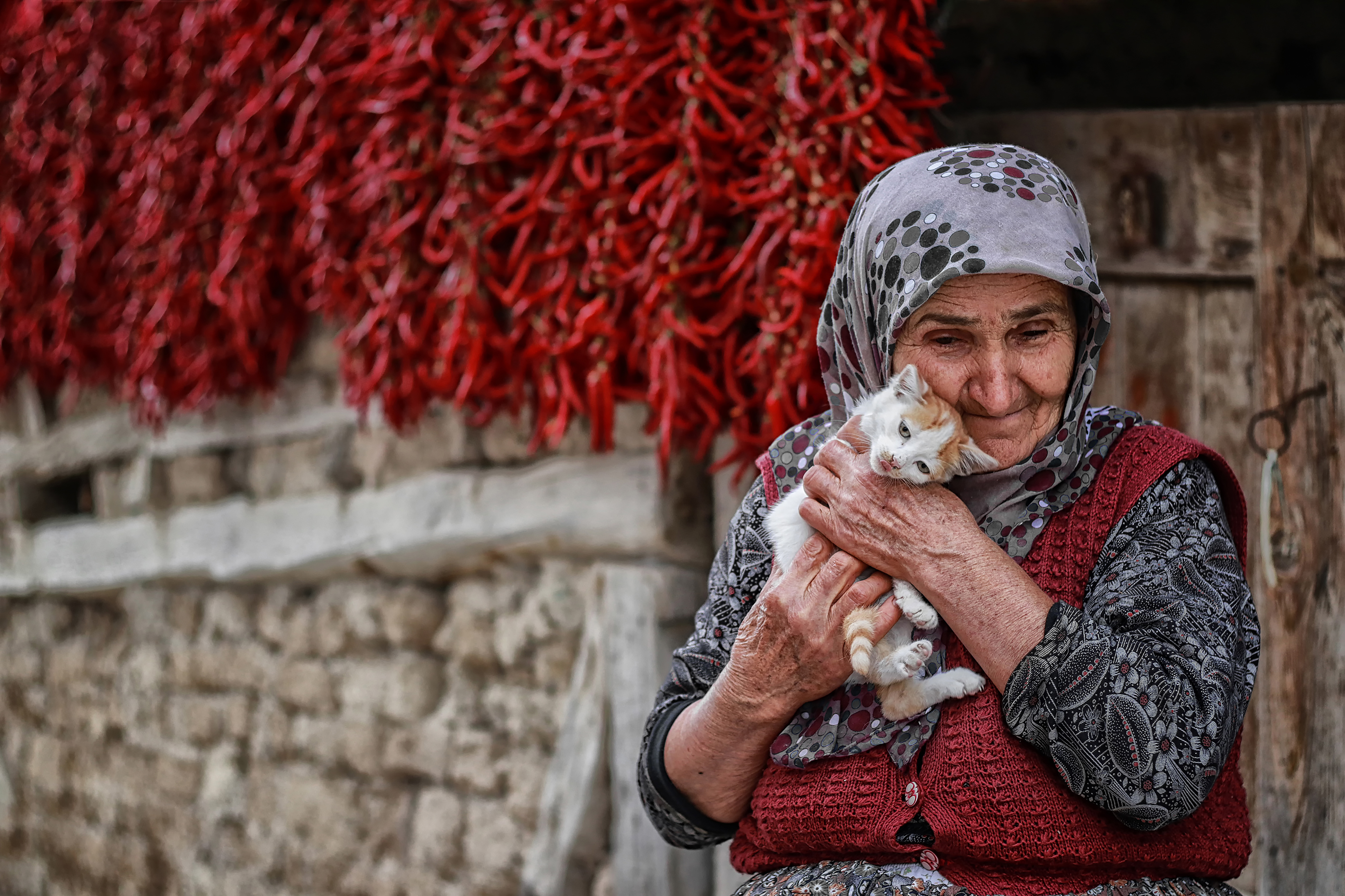 Haytap 2019 Sokağımızın Hayvanı Fotoğraf Yarışması Sonuçları