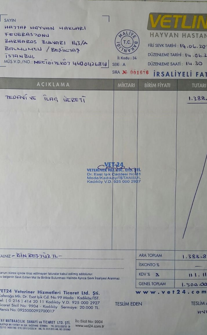 Haytap Sayesinde Veteriner Hizmeti Alan Bir Can Daha Hayata Tutundu