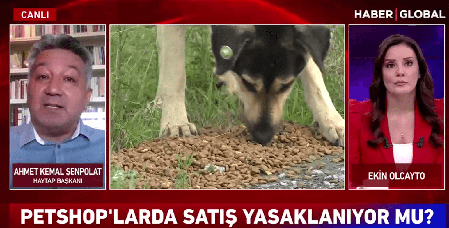 Yasa Değişikliğinin Ardından Tekrar Ayaklanacağız - Haziran 2021