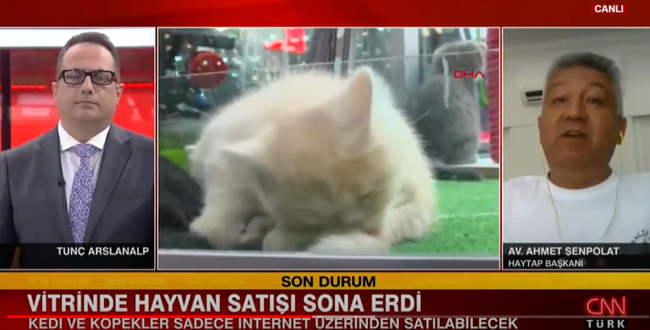 Petshoplardan Kedi Köpek Satışının Yasaklanmasını Sakın Müjde Gibi Sunmayın