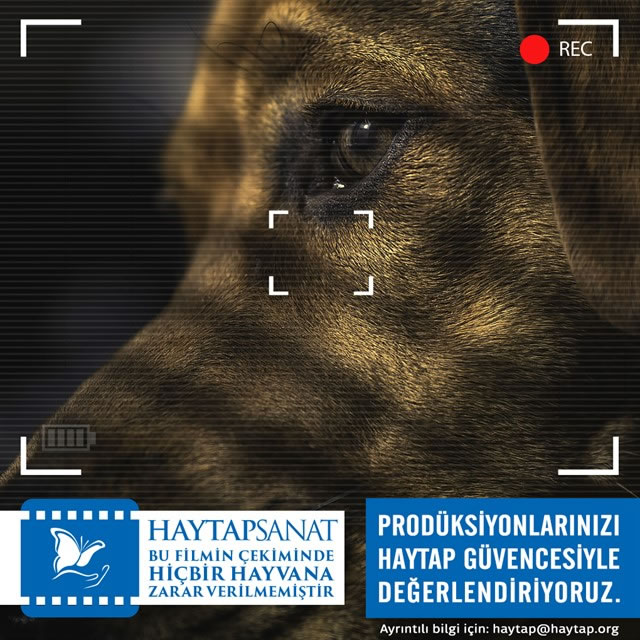 Sinemada HAYTAP Tarafından Onay / Red Verilen Filmlerin Listesi