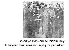 İstanbul’da İlk Hayvan Hastanesi -1927