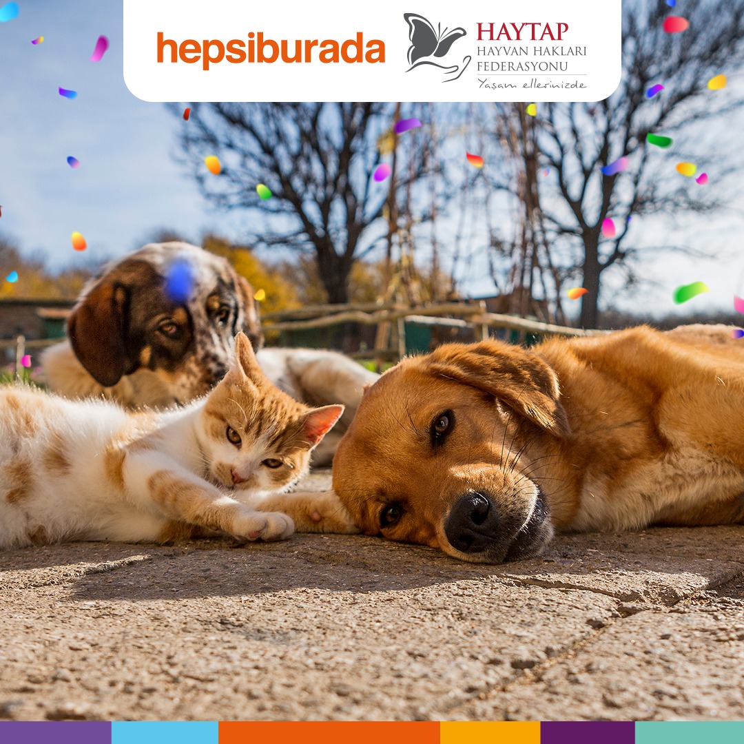 Hepsiburada & Haytap İş Birliği İle 3 Noktaya 3 Yoğun Bakım