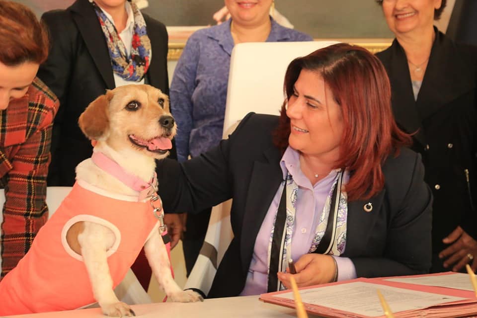 Aydın Büyükşehir Belediye Başkanı Özlem Çerçioğlu Haytap’ın 