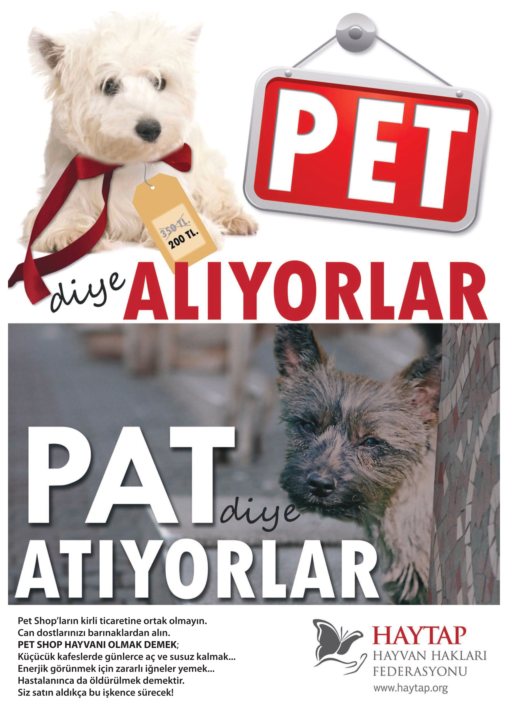 Pet Diye Alıyorlar , Pat Diye Atıyorlar- HAYTAP