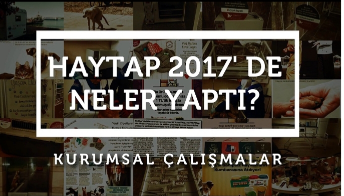 Haytap 2017 Yılında Neler Yaptı?