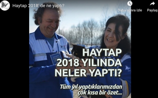 Haytap 2018 Yılında Neler Yaptı?