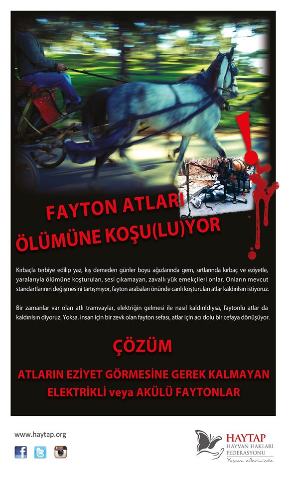 Fayton atları İzmir, Antalya, Kuşadası ve İstanbul’da Kaldırılıyor