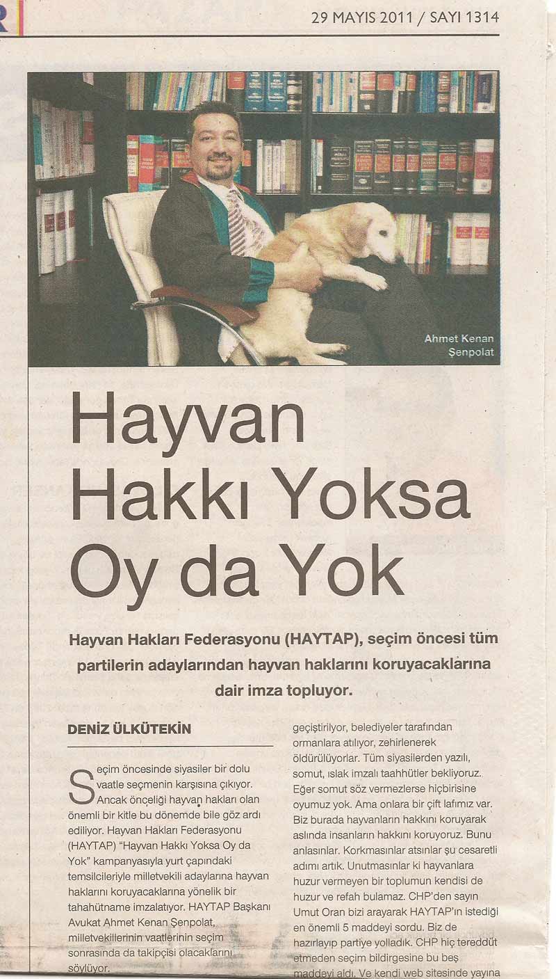 HAYTAP; ’’Hayvan Hakkı Yoksa OY da Yok’’ - Cumhuriyet