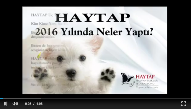 Haytap 2016 Yılında Neler Yaptı?