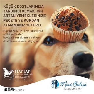 Haytap 2016 Yılında Neler Yaptı?