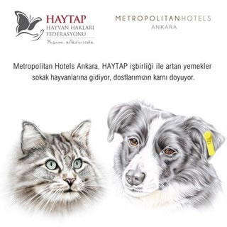 Haytap 2016 Yılında Neler Yaptı?