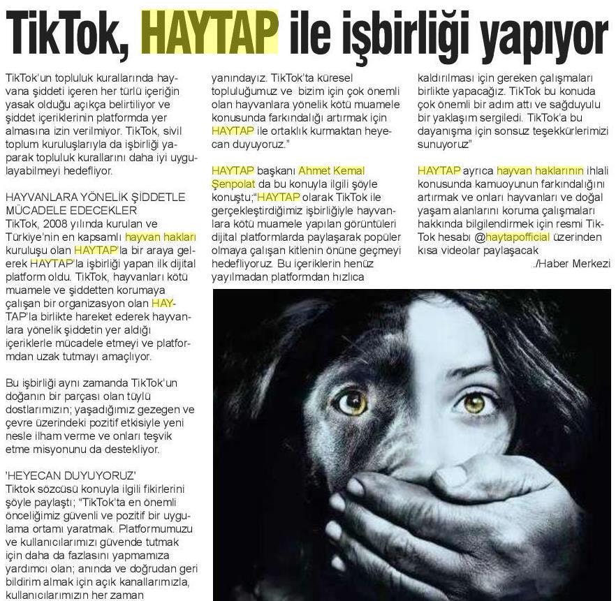 TikTok, Haytap İle İşbirliği Yapıyor