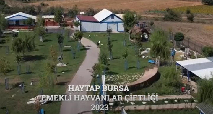 Haytap Bursa Emekli Hayvanlar Çiftliği 2023