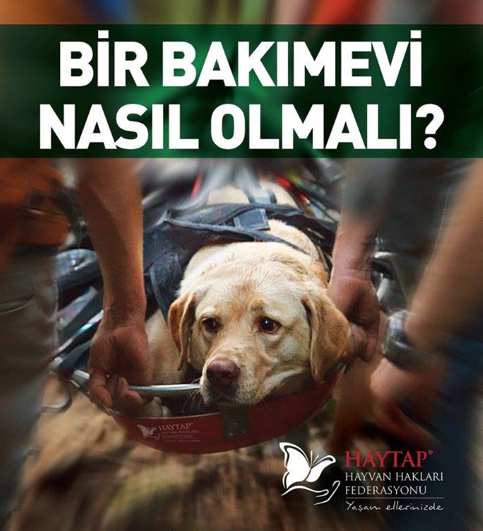 BİR BAKIMEVİ NASIL OLMALI?