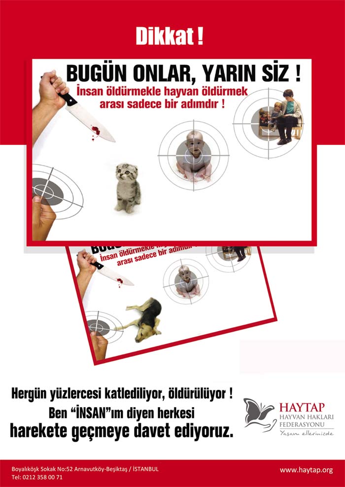 (*) Hayvanlara Eziyet Daha Ne Kadar Kabahatler Kanunu Kapsamında Kalacak ?-2007