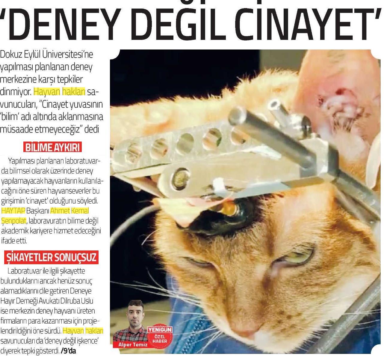 Deney Değil Cinayet