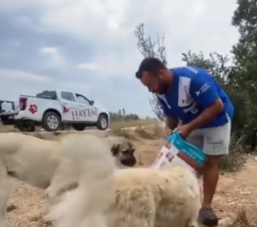 Haytap / Bursa Besleme Çalışmaları