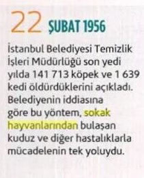 22 Şubat 1956 - İstanbul Belediyesi 140 bin Köpeğin İtlafını Kabulü