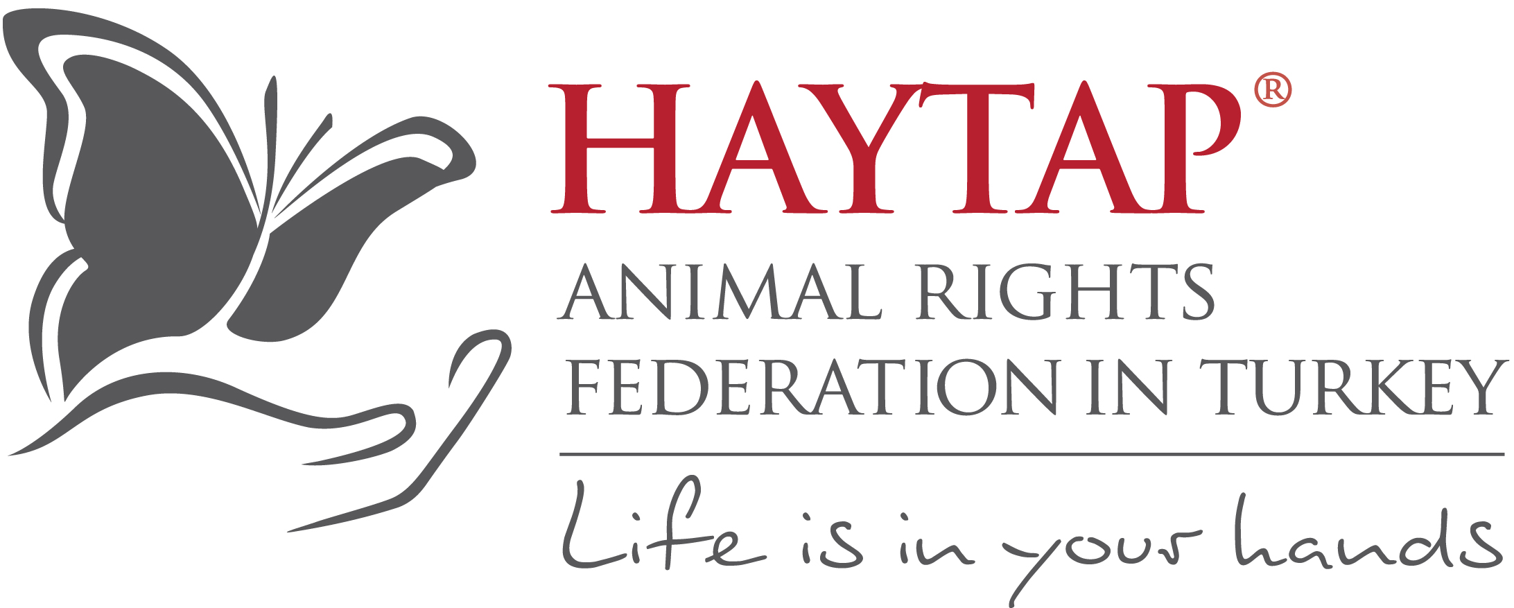 Corporate Supporter Companies of Haytap - FRIENDS OF HAYTAP