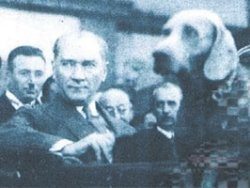 ATATÜRK  ARŞİVİMİZ