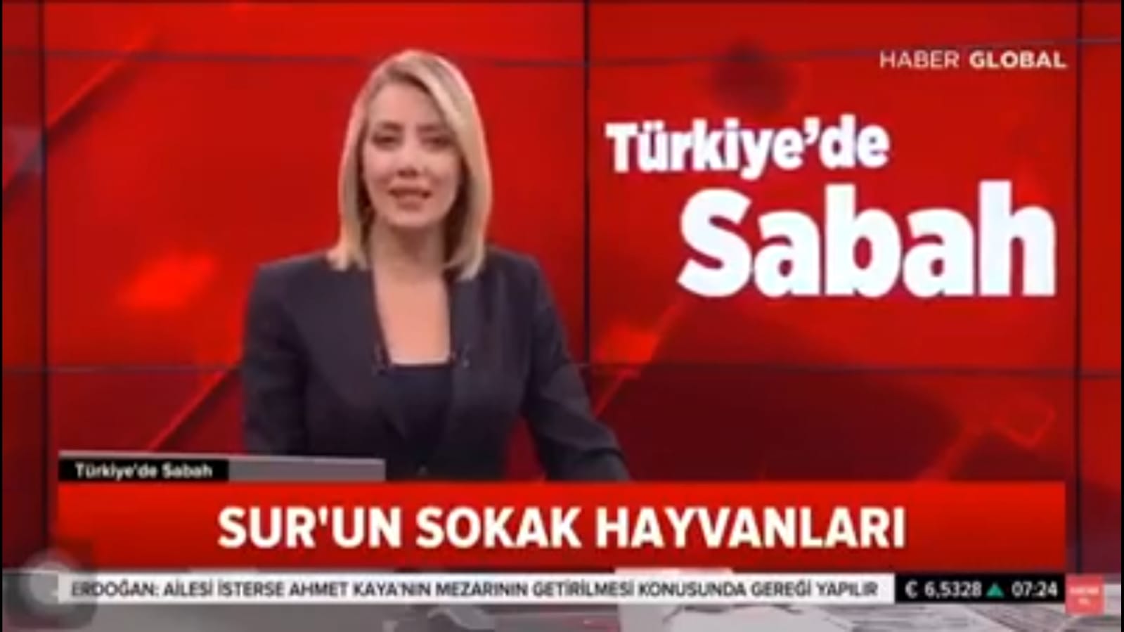 Haytap Ekibi Diyarbakır Sur bölgesinde