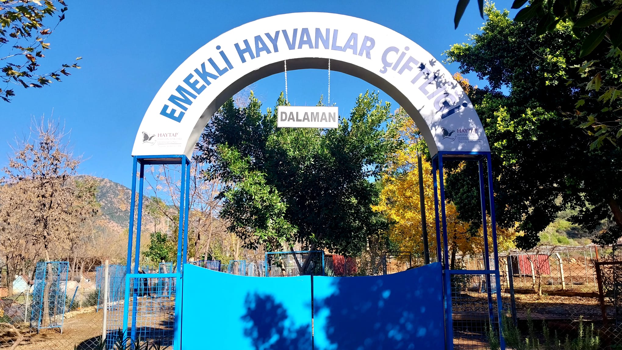 MUĞLA / DALAMAN EMEKLİ HAYVANLAR ÇİFTLİĞİMİZ