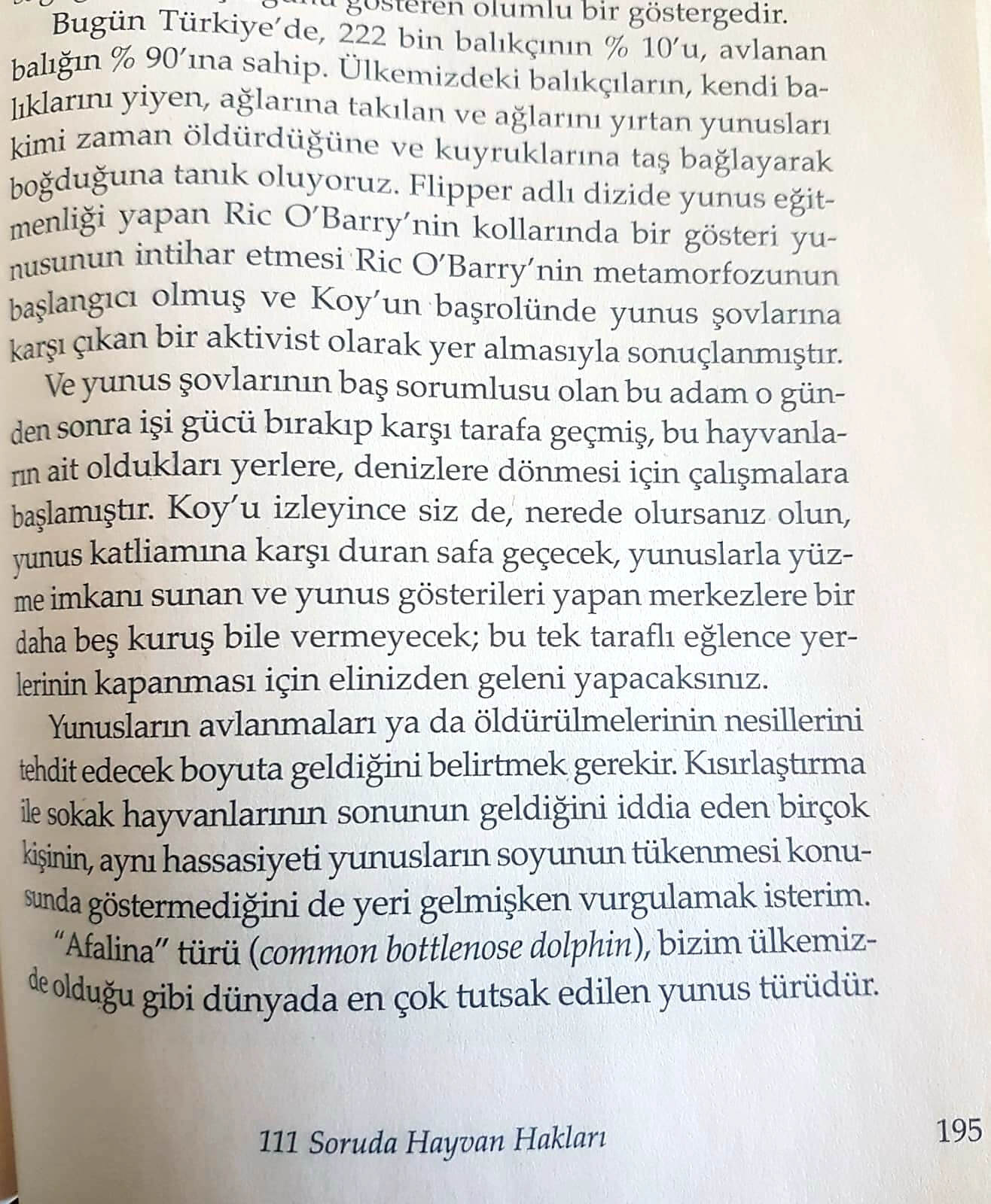 Yunusları Neden Vuruyorlar?