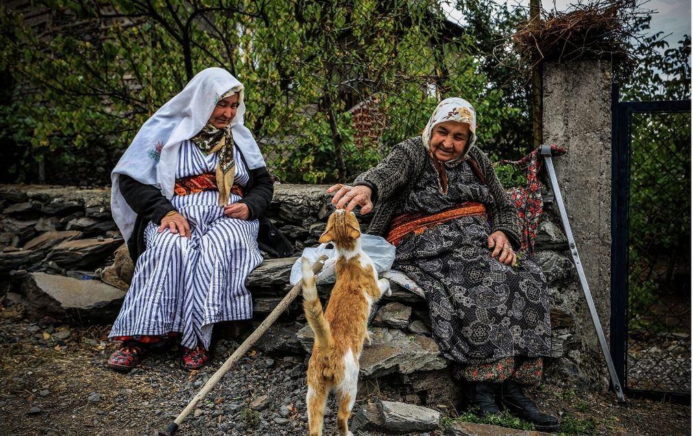 Ev ve Süs Hayvanlarının Üretim, Satış, Barınma ve Eğitim Yerleri Hakkında Yönetmelik