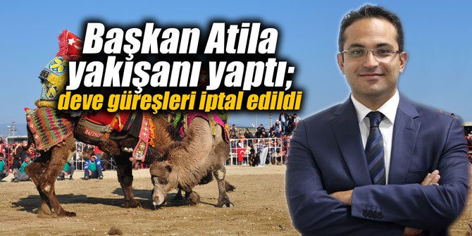 Başkan Atila yakışanı yaptı; deve güreşleri iptal edildiKaynak: Başkan Atila yakışanı yaptı; deve güreşleri iptal edildi