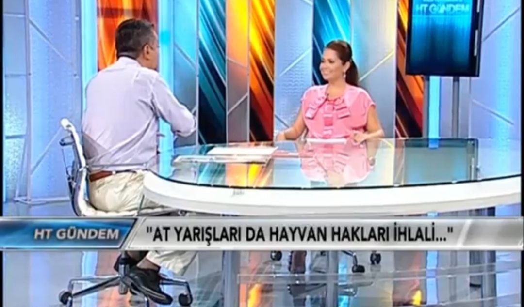 At yarışları da bir hayvan hakları ihlali midir ?  2010 Ağustos