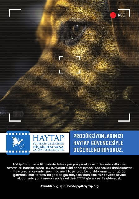 Haytap Sanat : Hayvanların Kullanıldığı Film Sektöründe Haytap Denetimi