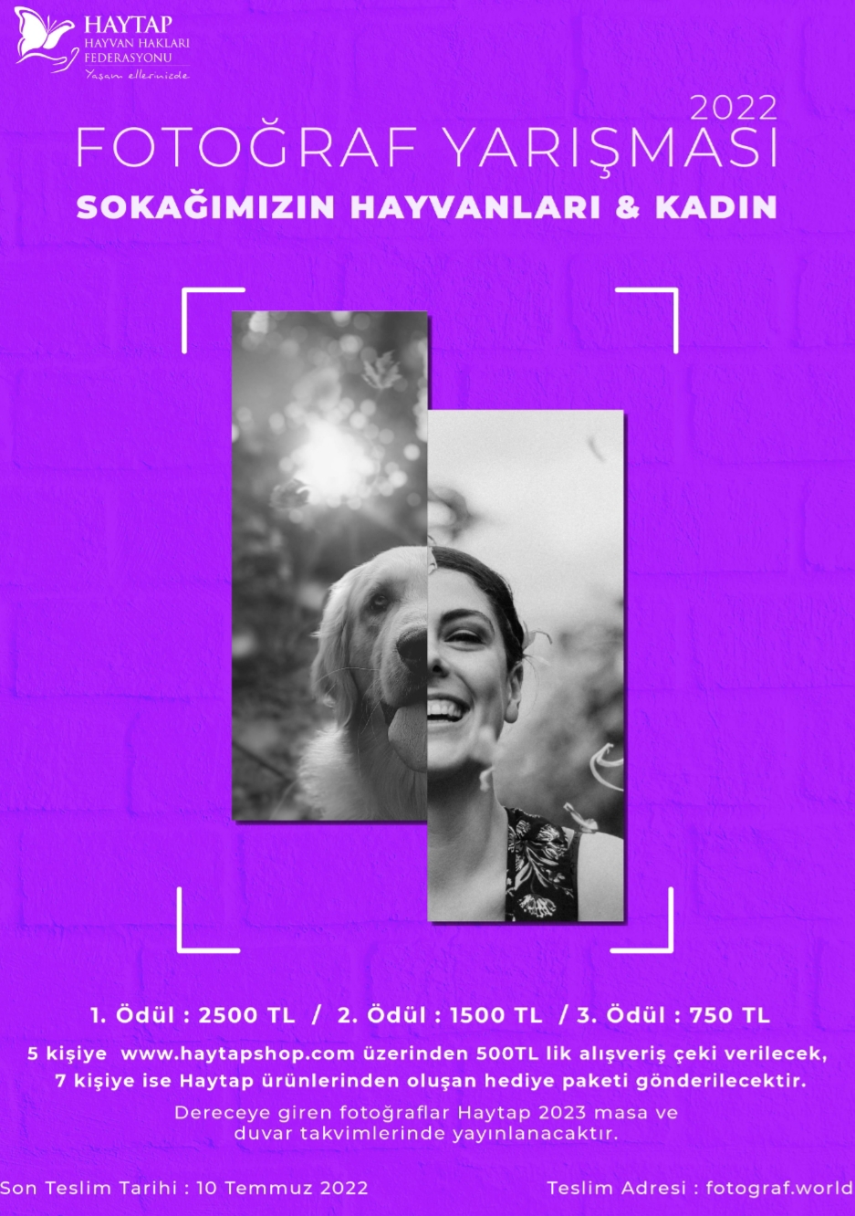 Haytap 2022 “SOKAĞIMIZIN HAYVANLARI VE KADIN ” Fotoğraf Yarışması