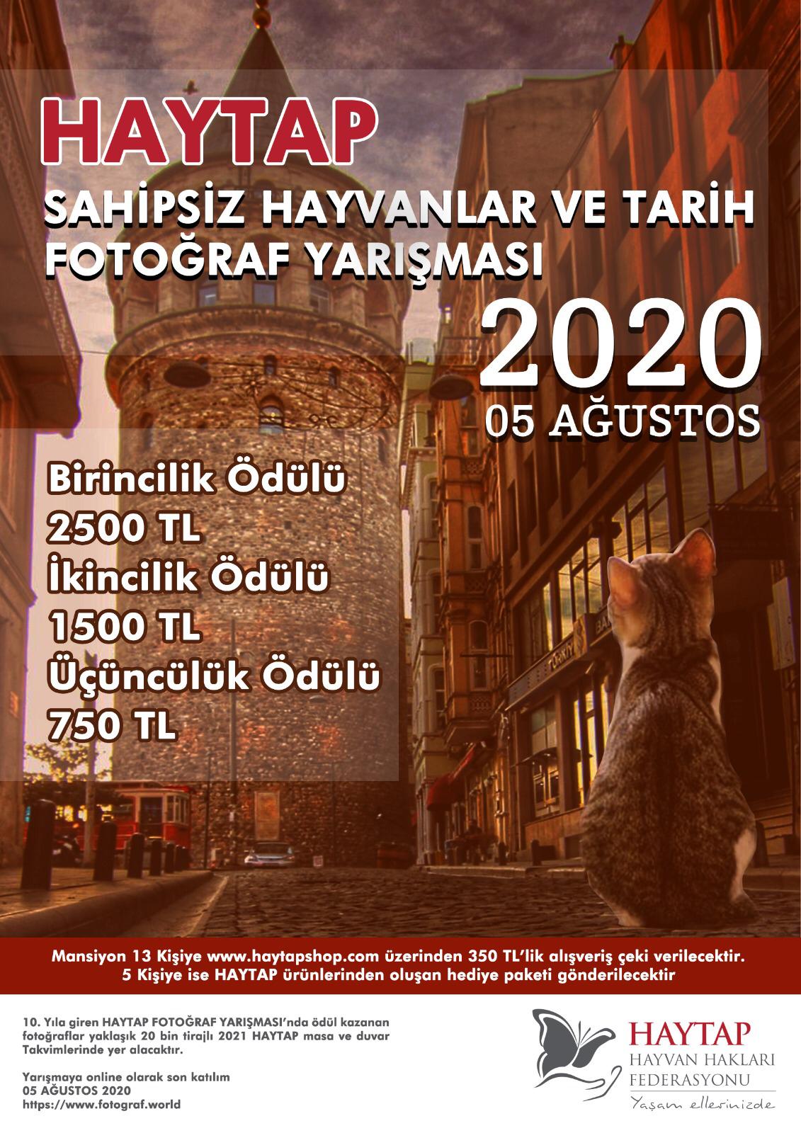 Haytap 2020 Sokak Hayvanları Fotoğraf Yarışması