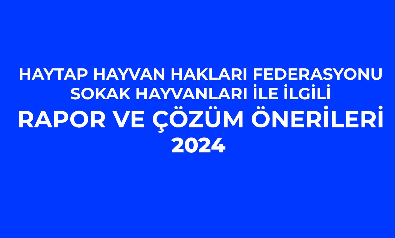 HAYTAP’ın  Sokak Hayvanları Populasyonuna İlişkin Meclise Sunduğu Rapor ve Çözüm Önerileri 31/05/2024