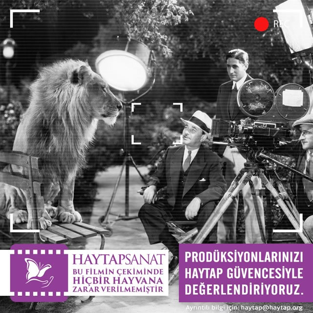 TV DİZİLERİNDE HAYTAP VE  FİLMLERDE HAYTAP DENETİMİ