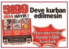 Hayvanları Koruma Kanunu Kabahat Değil Suç -   Hürriyet Gazetesi-2008