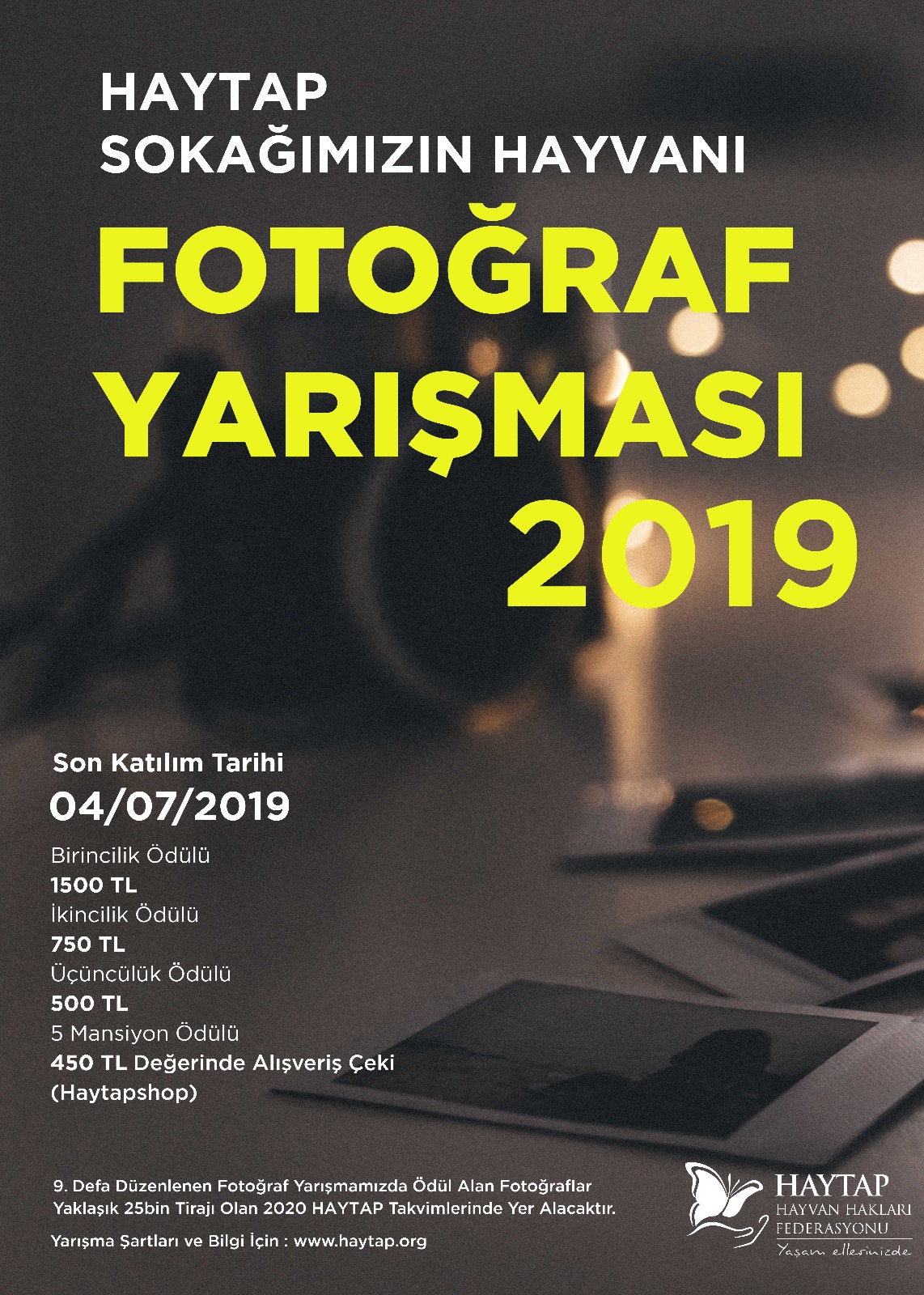 Haytap 2019 Sokak Hayvanları Fotoğraf Yarışması