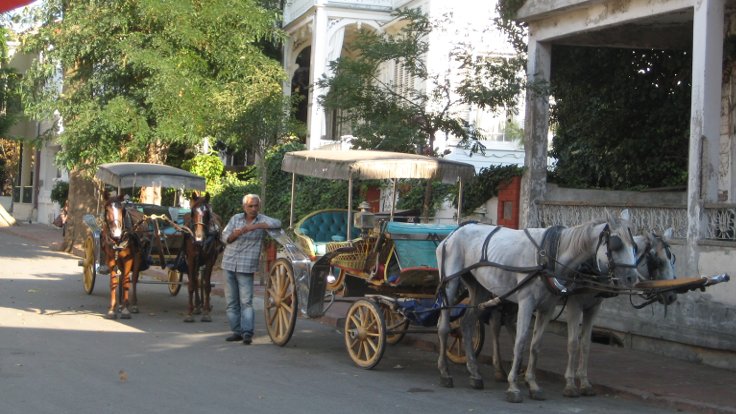 YÜK HAYVANLARI GERÇEĞİNDE YAPTIKLARIMIZ